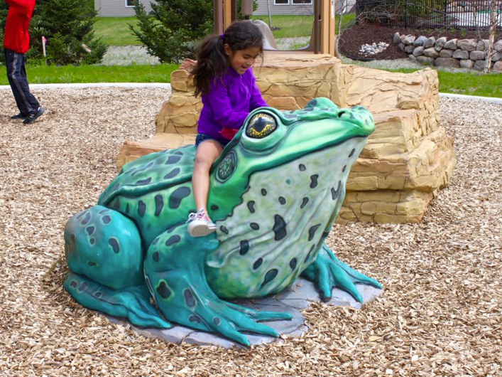 Frog Climber