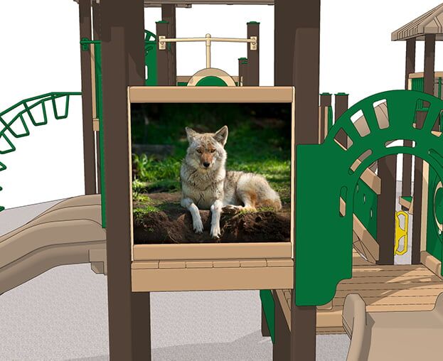 Coyote (Mega) - Image 6