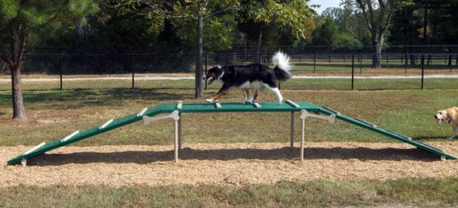 Dog Walk PBARK-410 - Image 2