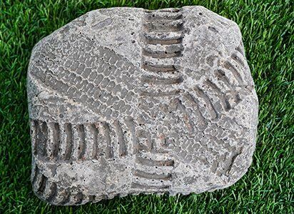 Fossil Steppers (set of 5) - Image 3