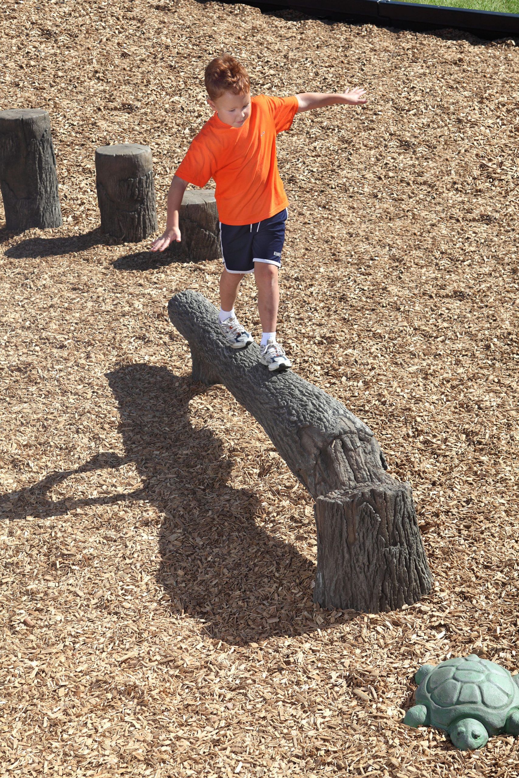 8' Fallen Tree Balance Beam