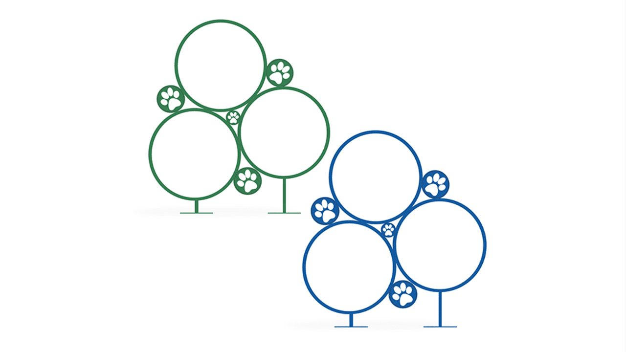 Best In Show BARK-BSTKIT - Image 5