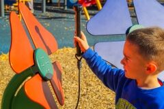 Orange Flower - Image 4