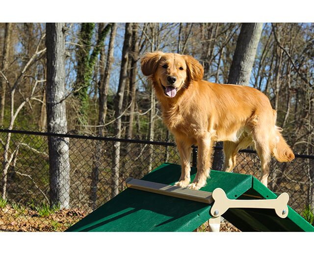 King of the Hill PBARK-400 - Image 3