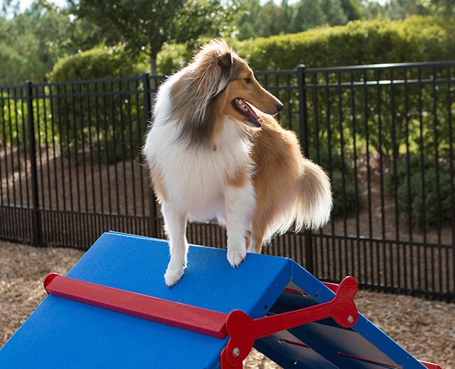 King of the Hill PBARK-400 - Image 5