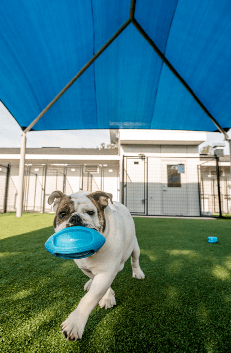 Rectangle Hip Shade 12' Eave Height - Image 3