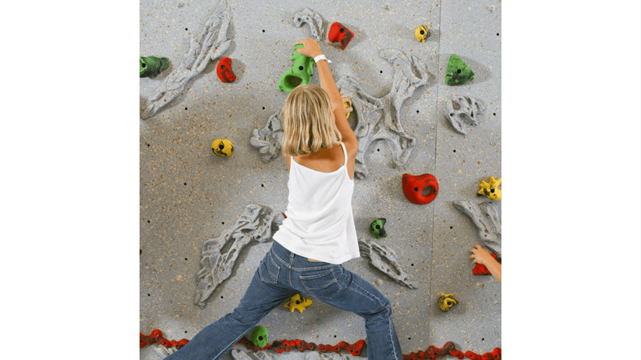 Relief-Feature™ Climbing Wall