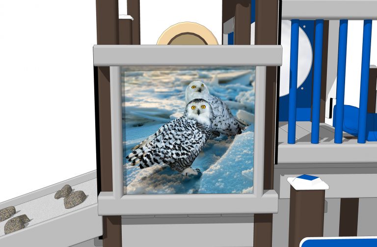 Snowy Owl (Preschool) - Image 3
