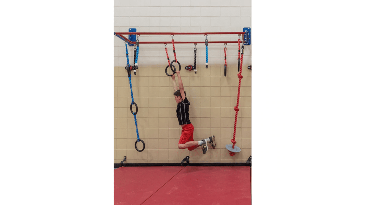 Safari® Large Ninja Circuit