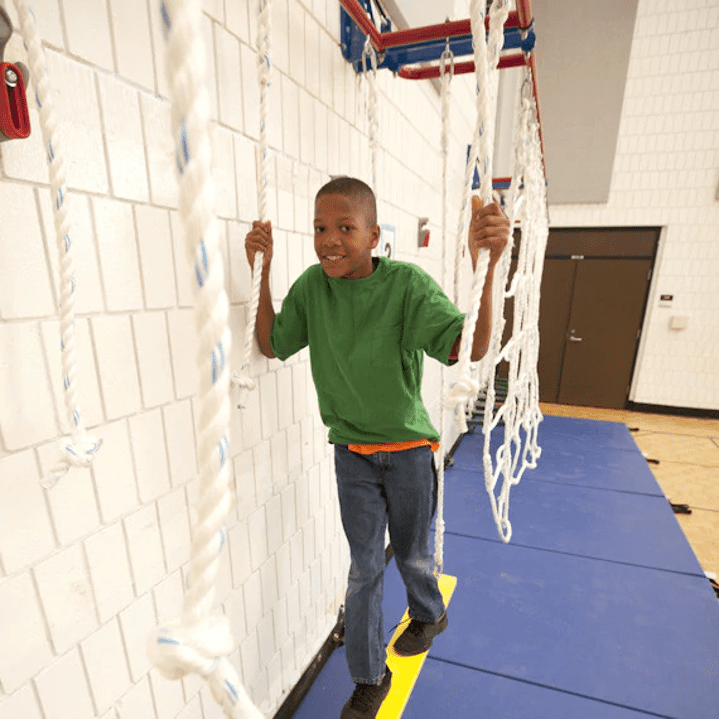 Safari® Plank Walk - Image 2