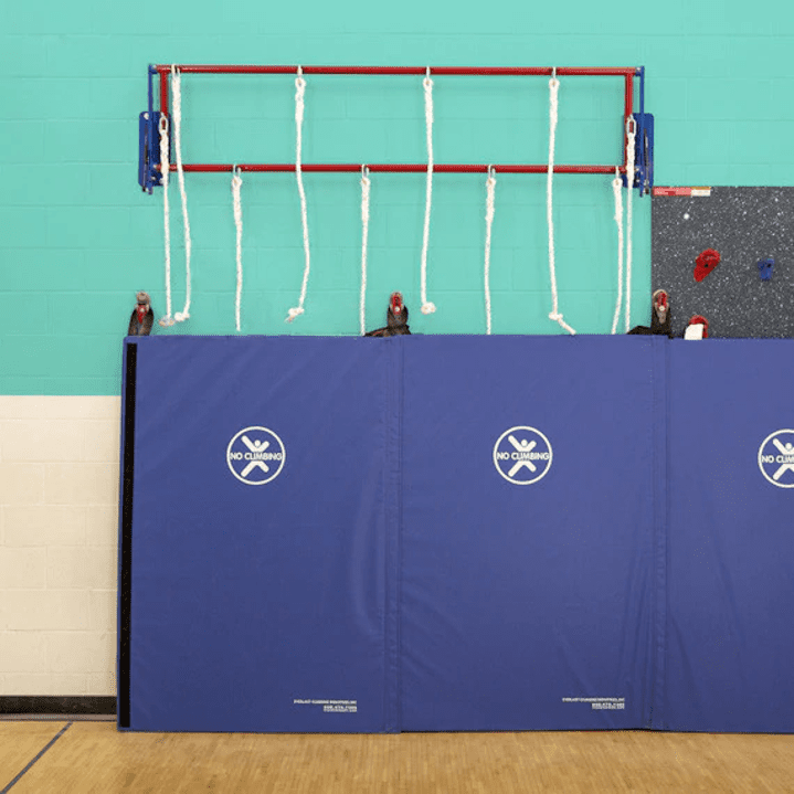 Safari® Plank Walk - Image 3