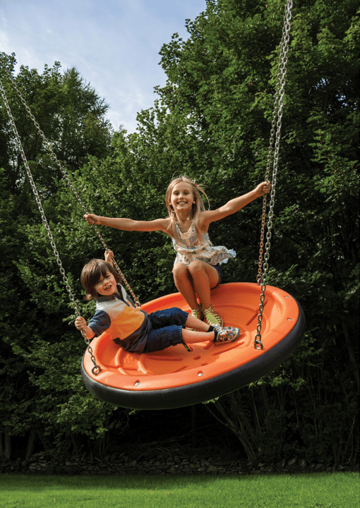 Inclusive Team Swing - Image 3