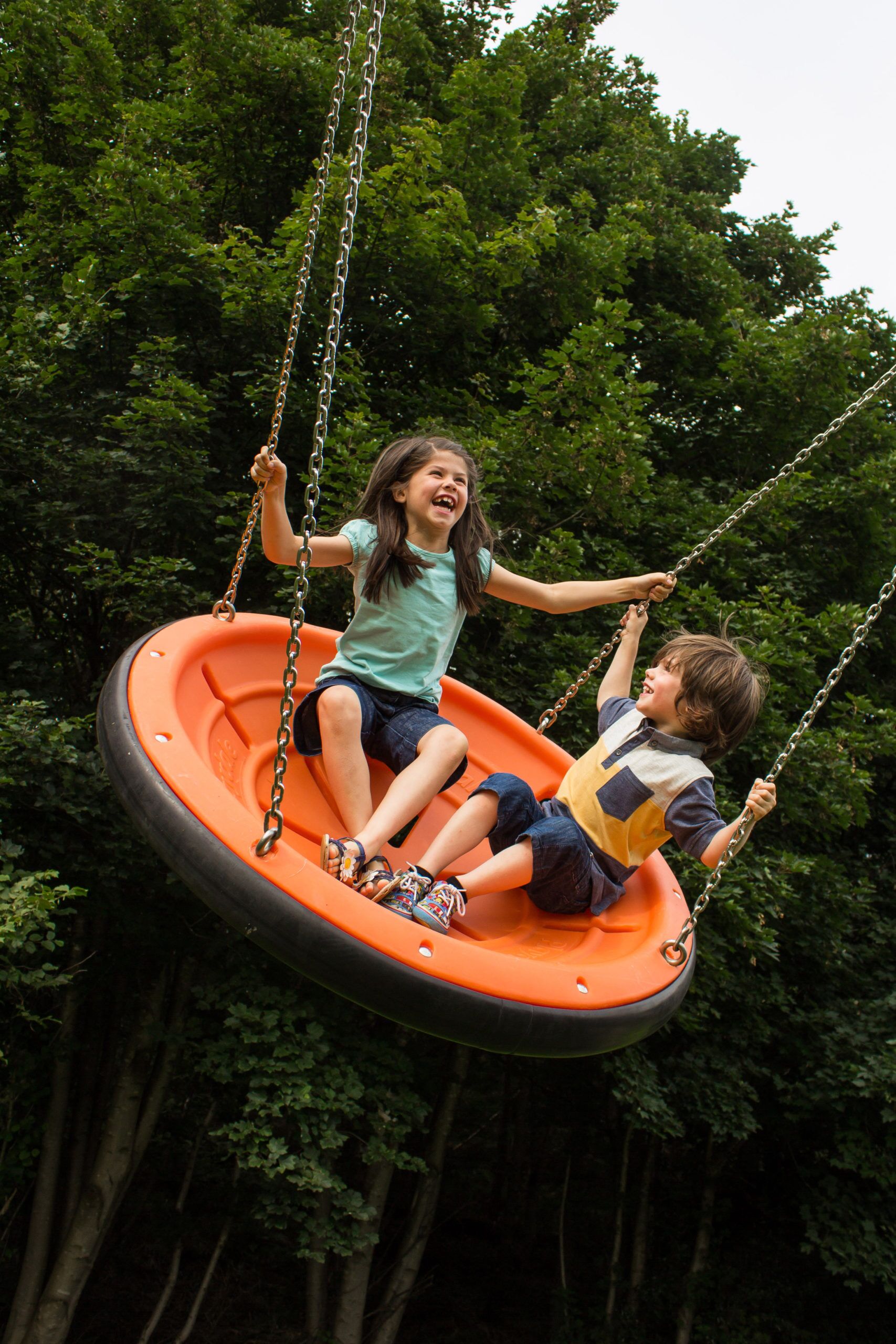 Inclusive Team Swing - Image 5